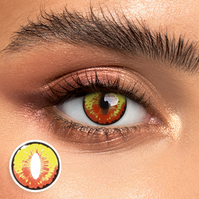 Dragon Maid - 1 Year