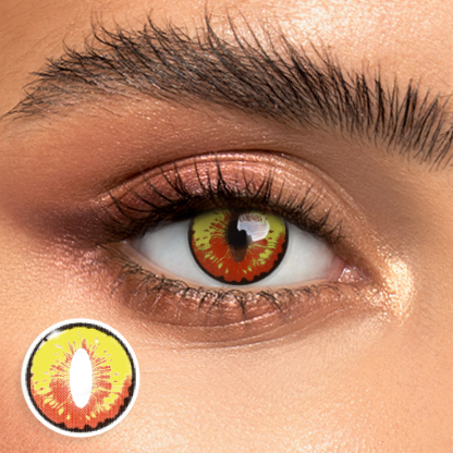 Dragon Maid - 1 Year