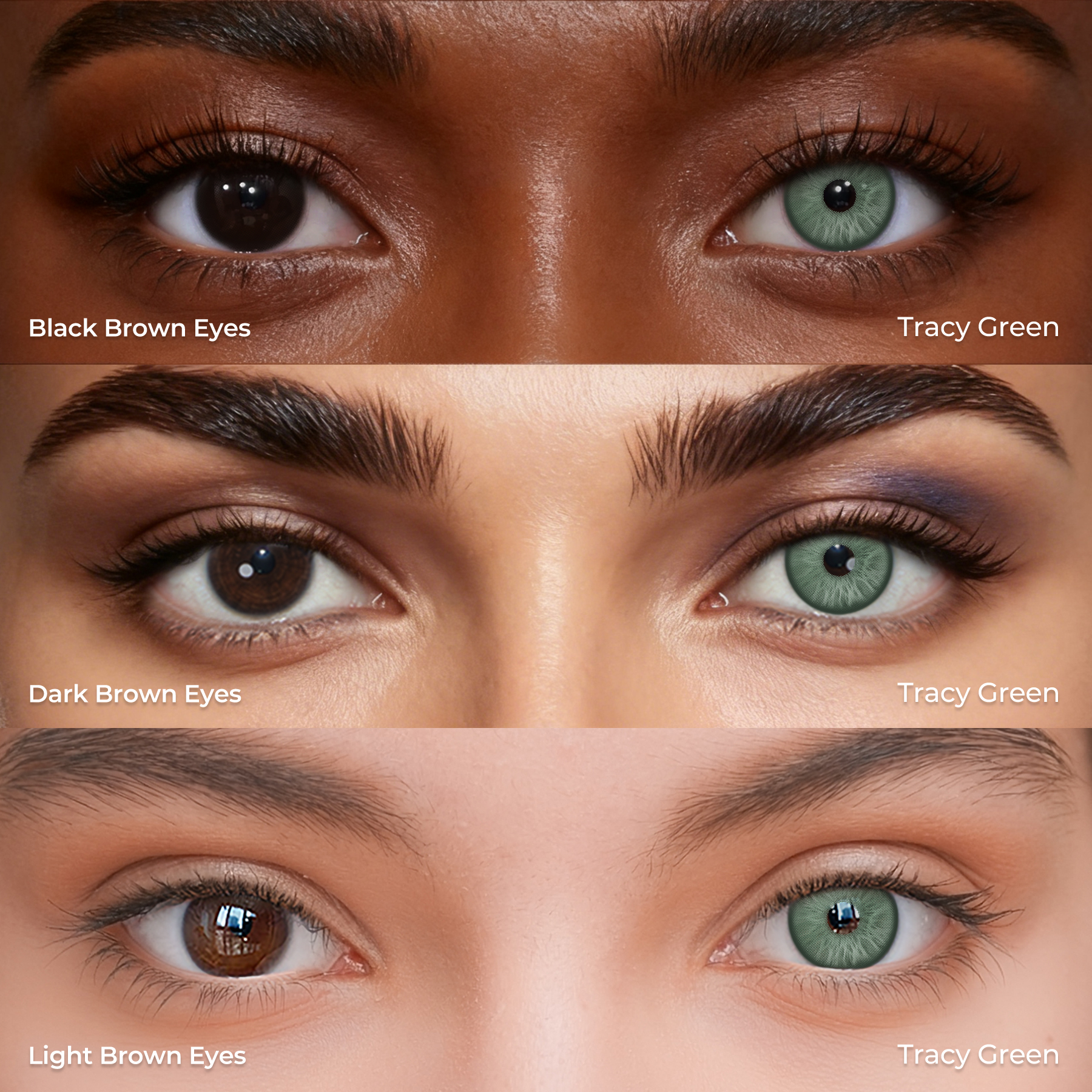 Tracy Green - 1 Year