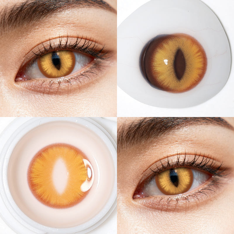 Dragon Eye Brown - 6 Months