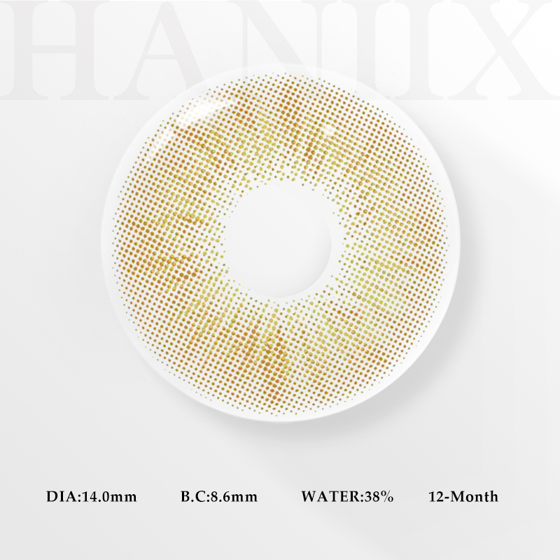 Focus Brown - 1 Year