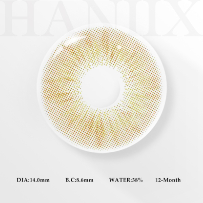 Focus Brown - 1 Year