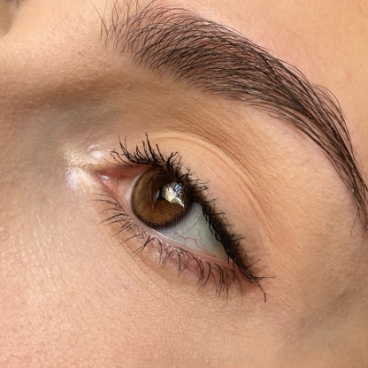 Hush Brown - 6 Months