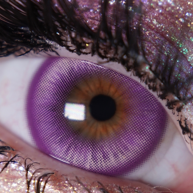 Lolly Violet - Yearly, 2 lenses