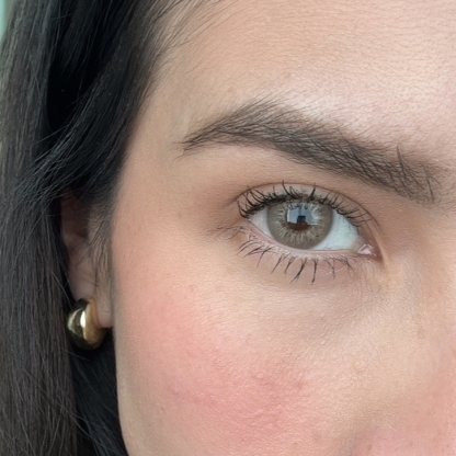 Whisper Brown - 1 Year, 2 lenses