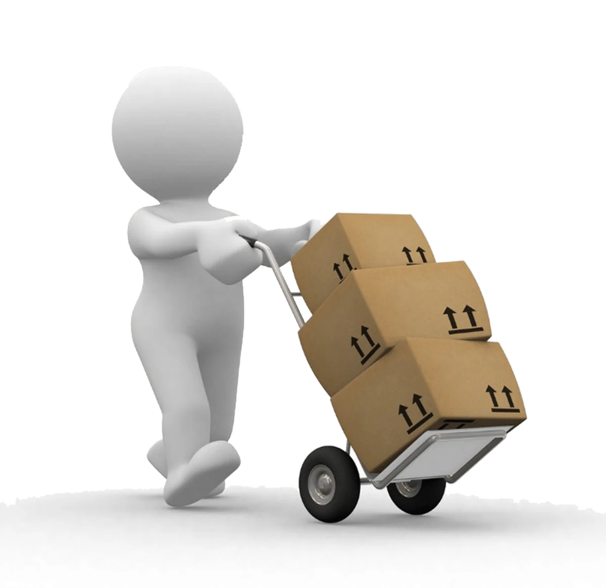 Shipping Fee