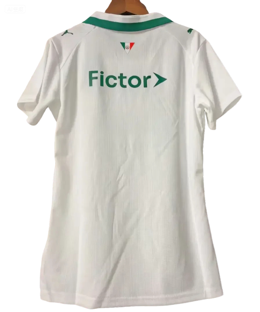 26/27 Palmeiras away fan version Jersey S-4XL