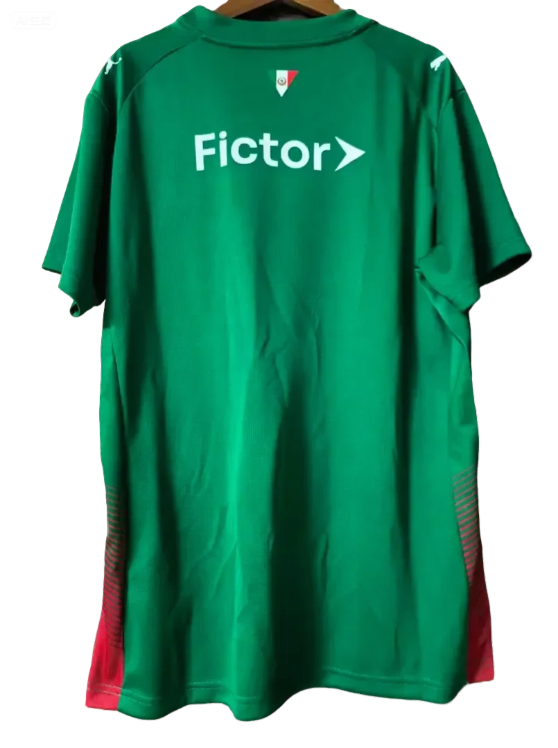 26/27 Palmeiras Home fan version Jersey S-4XL