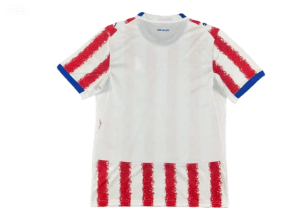 2026 Paragu@y home fan version S-4XL
