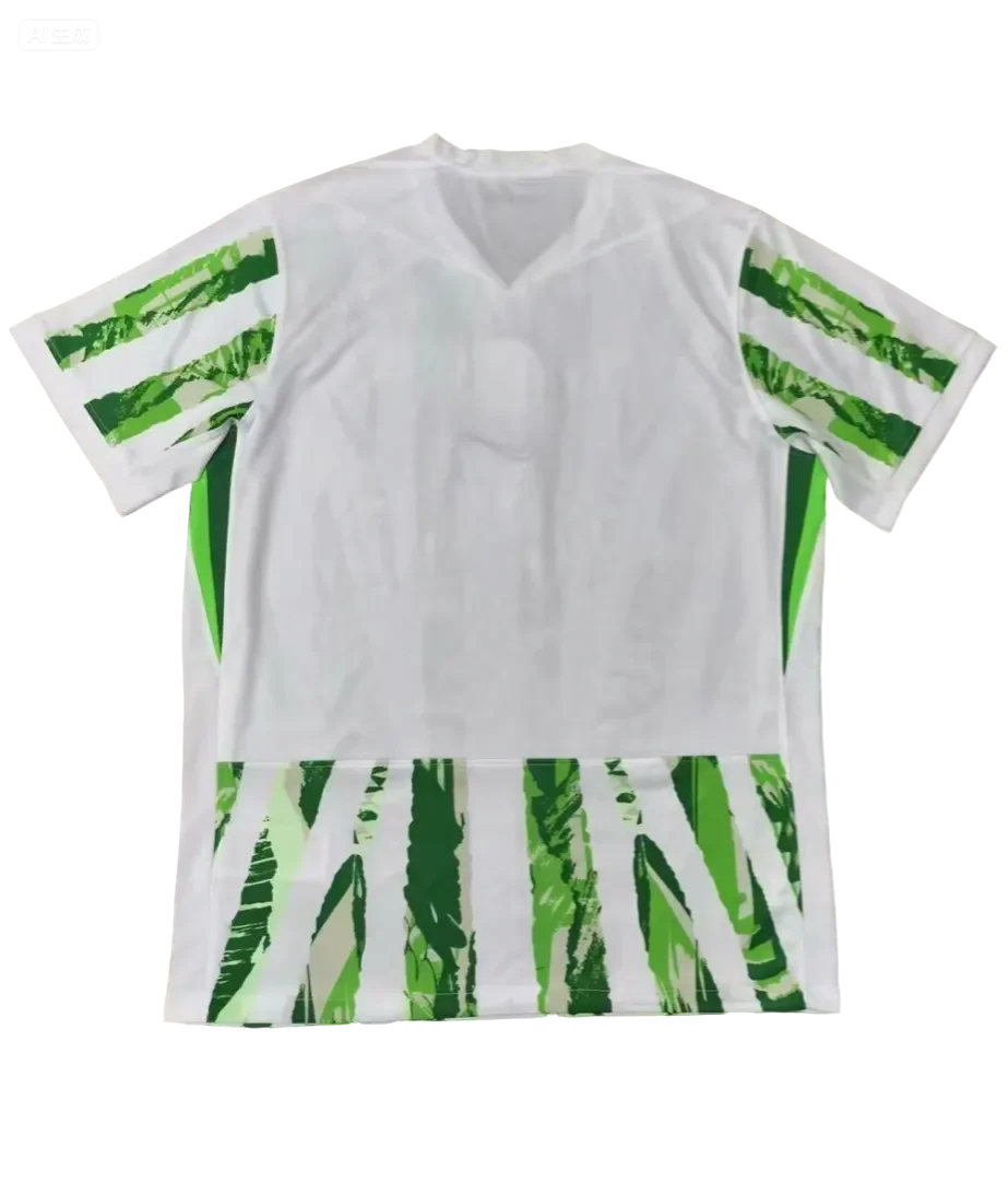 25/26 Nigeria home fan version S-4XL