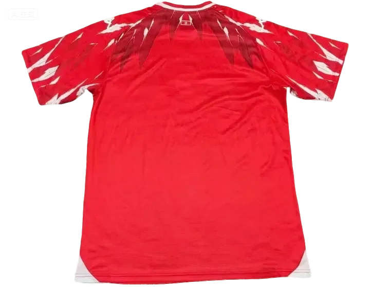 2026 Tunisia away fan version S-4XL