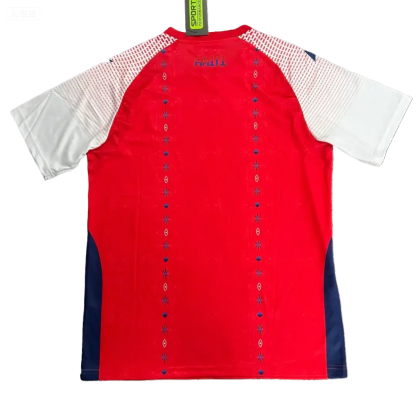 2026 Haiti home fan version S-4XL