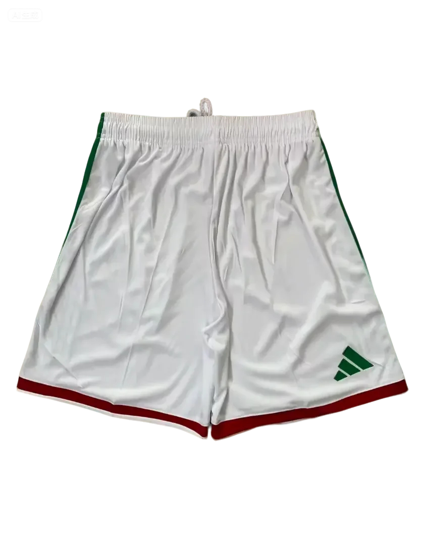 2026 Mexico home fan version short S-XXL