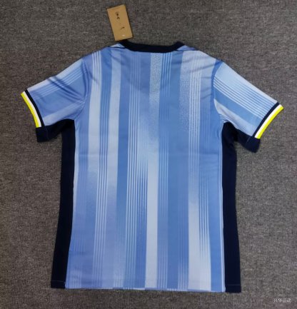 24-25 Tottenham hotspur away fan version S-4XL