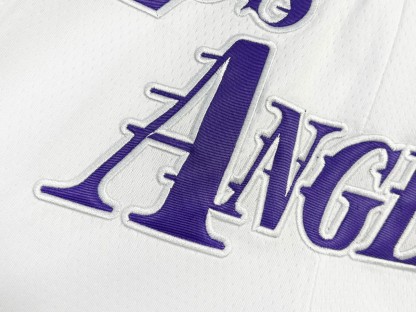 Lakers embroidered basketball shorts