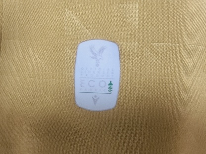 25/26 Crystal Palace away player version S-XXL