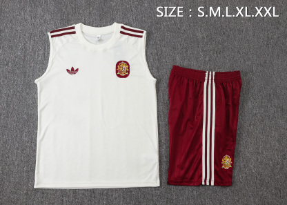 2026 Spain white vest training suit S-XXL