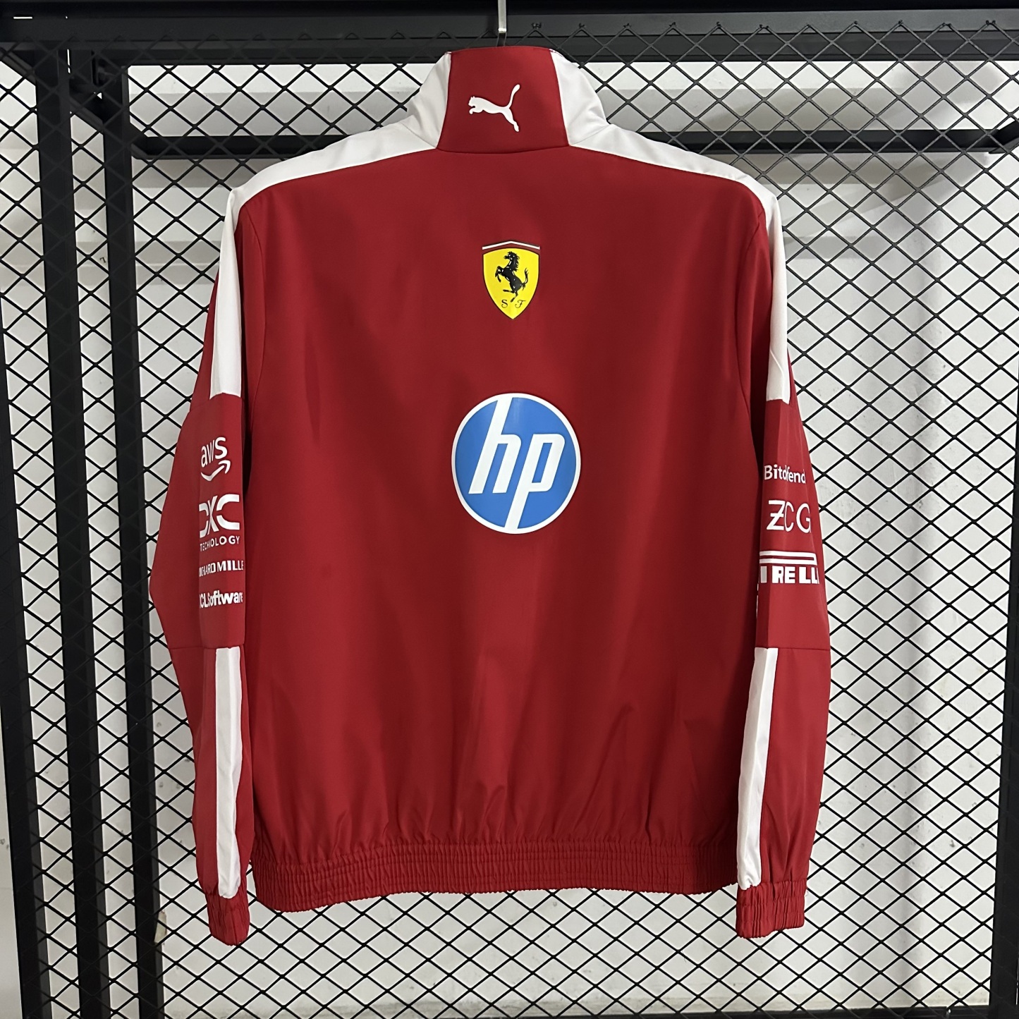 2025 Ferrari F1 Red windbreak