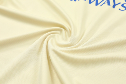 24/25 Inter Milan training Beige vest set fan version S-XXL