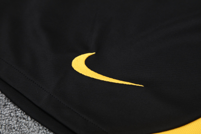 25/26 Inter Milan training blue-yellow vest set fan version S-XXL