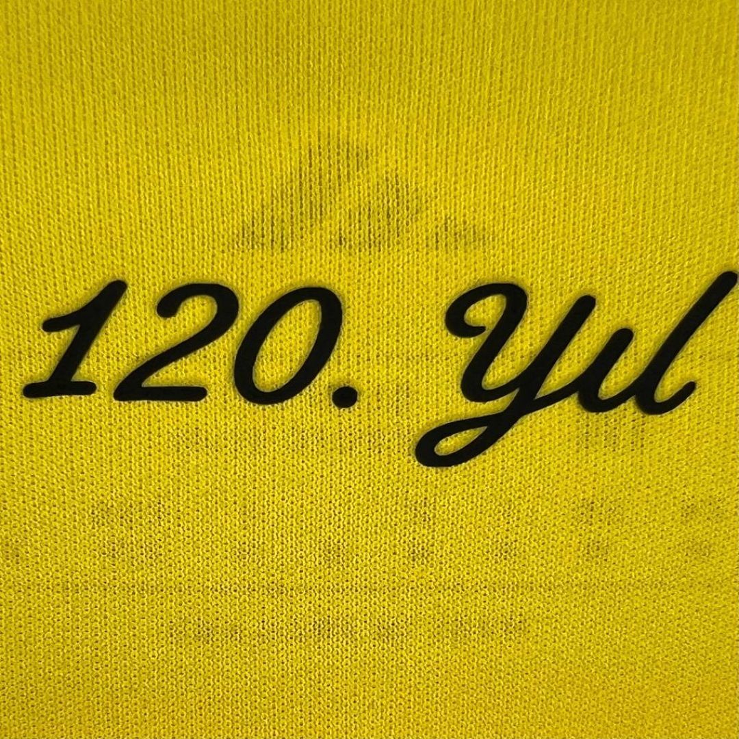 26/27 Fenerbahçe S.K. home fan version Jersey S~4XL
