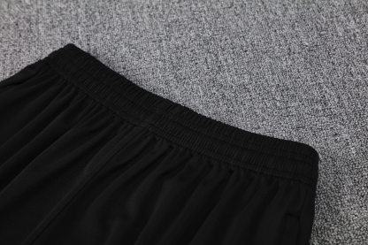 25/26 Barcelona red and blue stripes vest training suit S-XXL