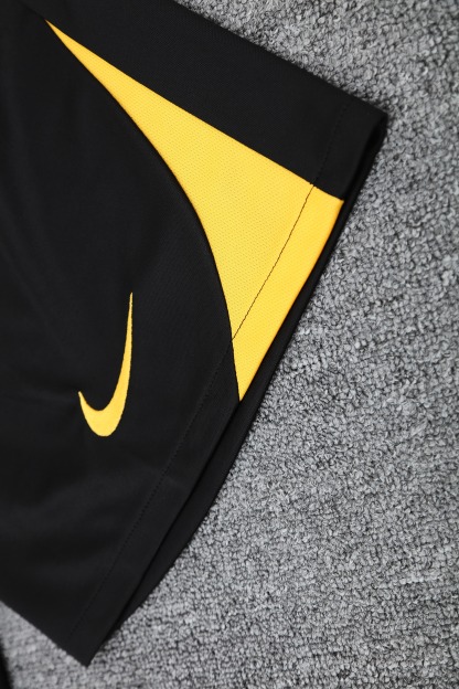 25/26 Inter Milan training blue-yellow vest set fan version S-XXL