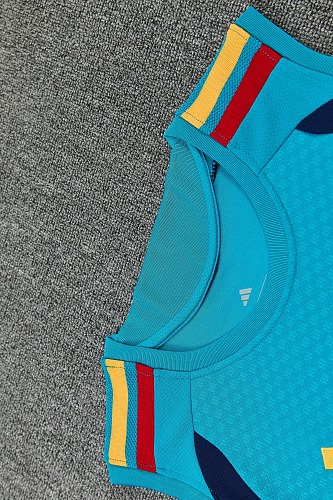 2026 Spain blue vest training suit S-XXL