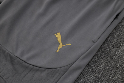 24/25 AC Milan training grey set fan version S-XXL