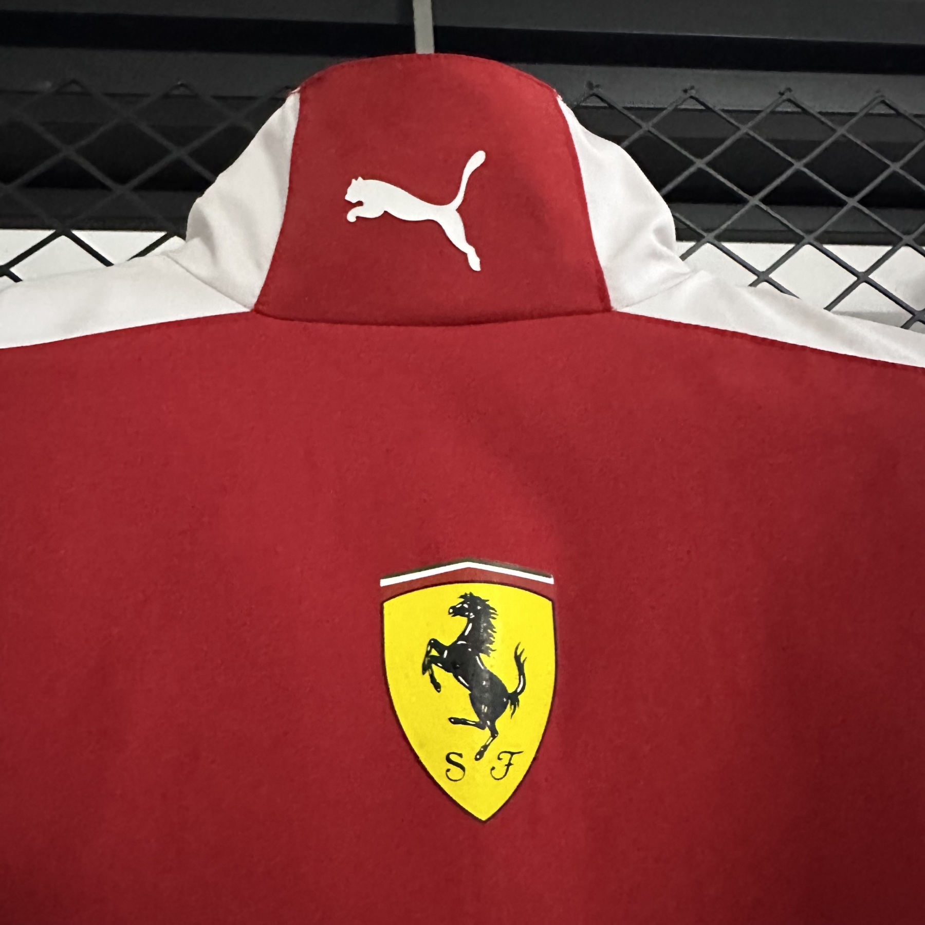 2025 Ferrari F1 Red windbreak
