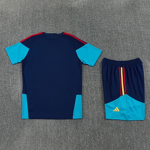 2026 Spain royal blue training suit S-XXL