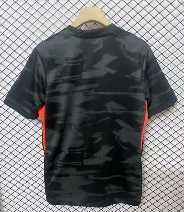 24/25 Birmingham City F.C. third fan version S-XXL