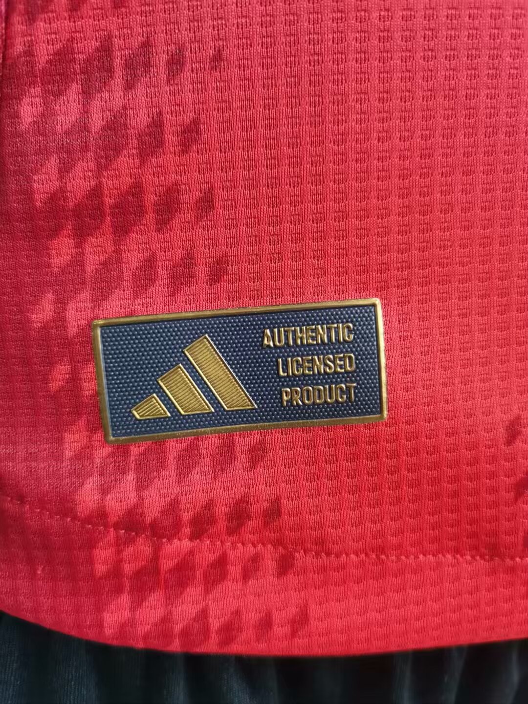 24/25 Bayern home player version S-4XL