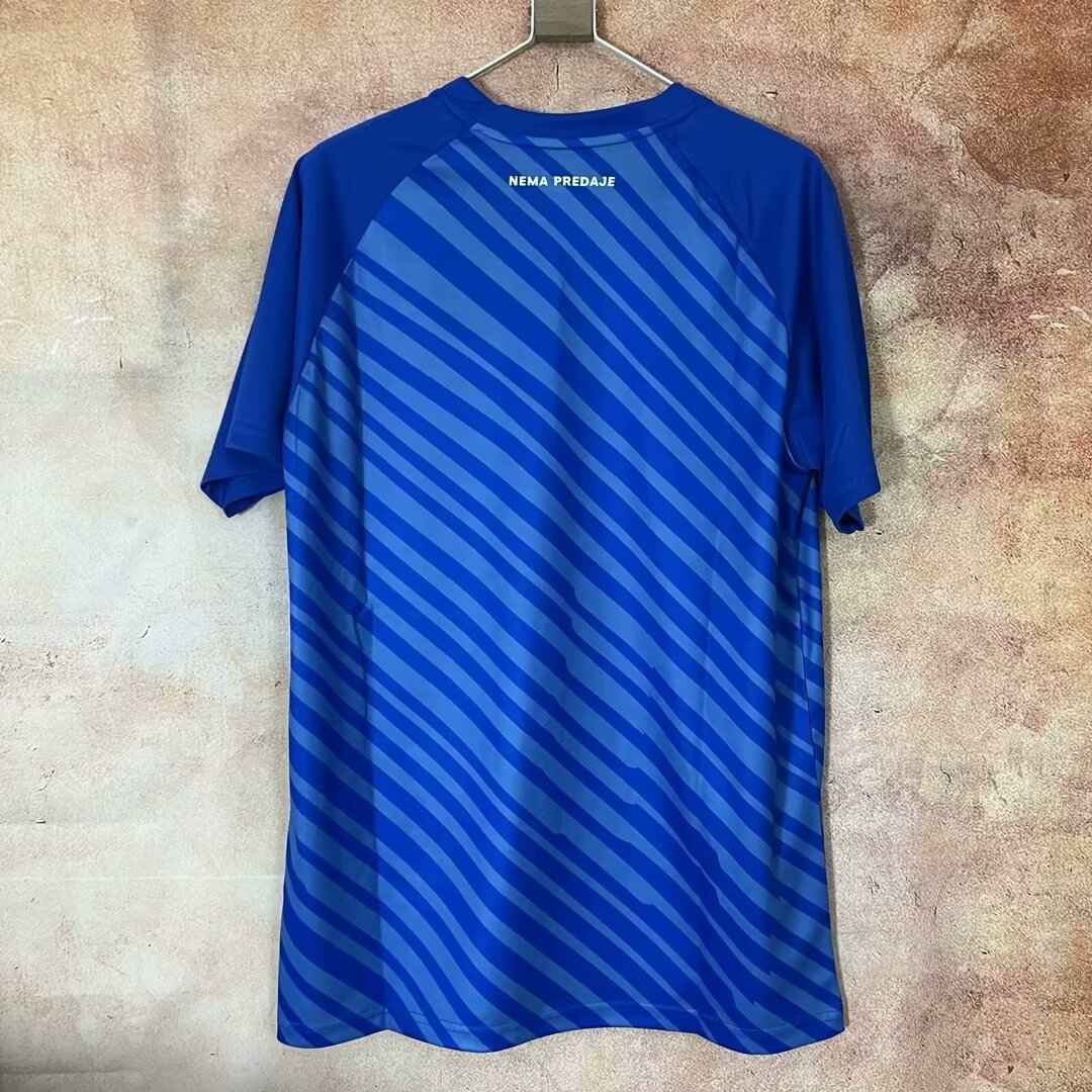 24/25 Dinamo Zagreb home fan version S-XXL