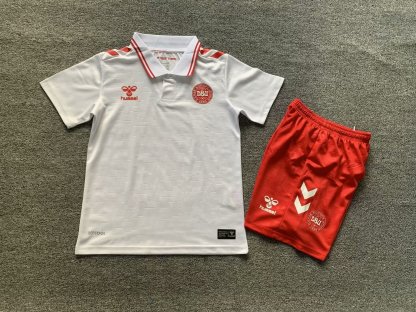 24/25 Denmark away kids version size 16-28