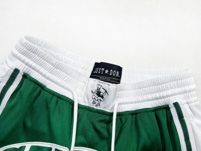 Celtics embroidered basketball shorts