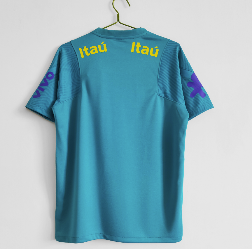 Retro 2021 Brazil lake blue training S-XXL