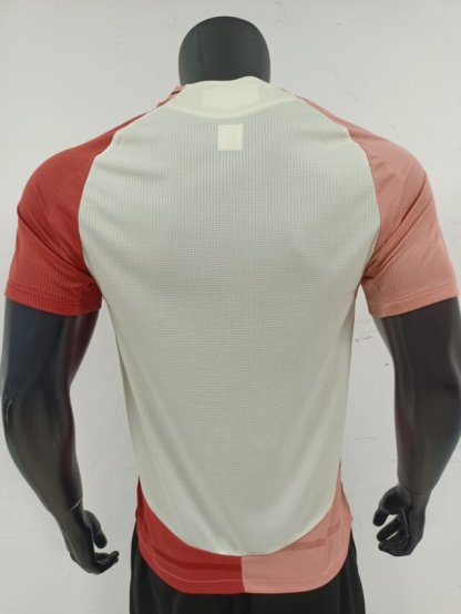 24/25 Olympique Lyonnais third player version Jersey S-XXL