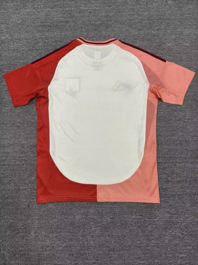 24/25 Olympique Lyonnais third fan version Jersey S-XXL