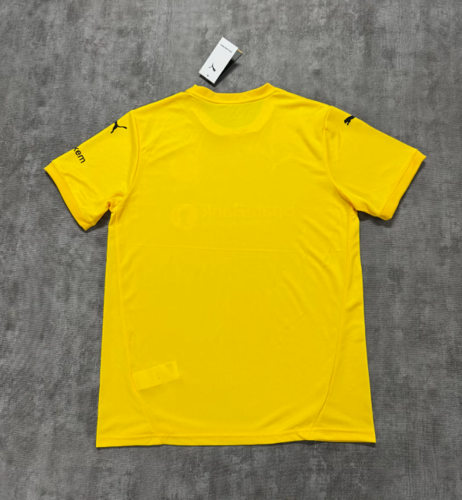 25/26 FK Bodo/Glimt home fan version S-4XL