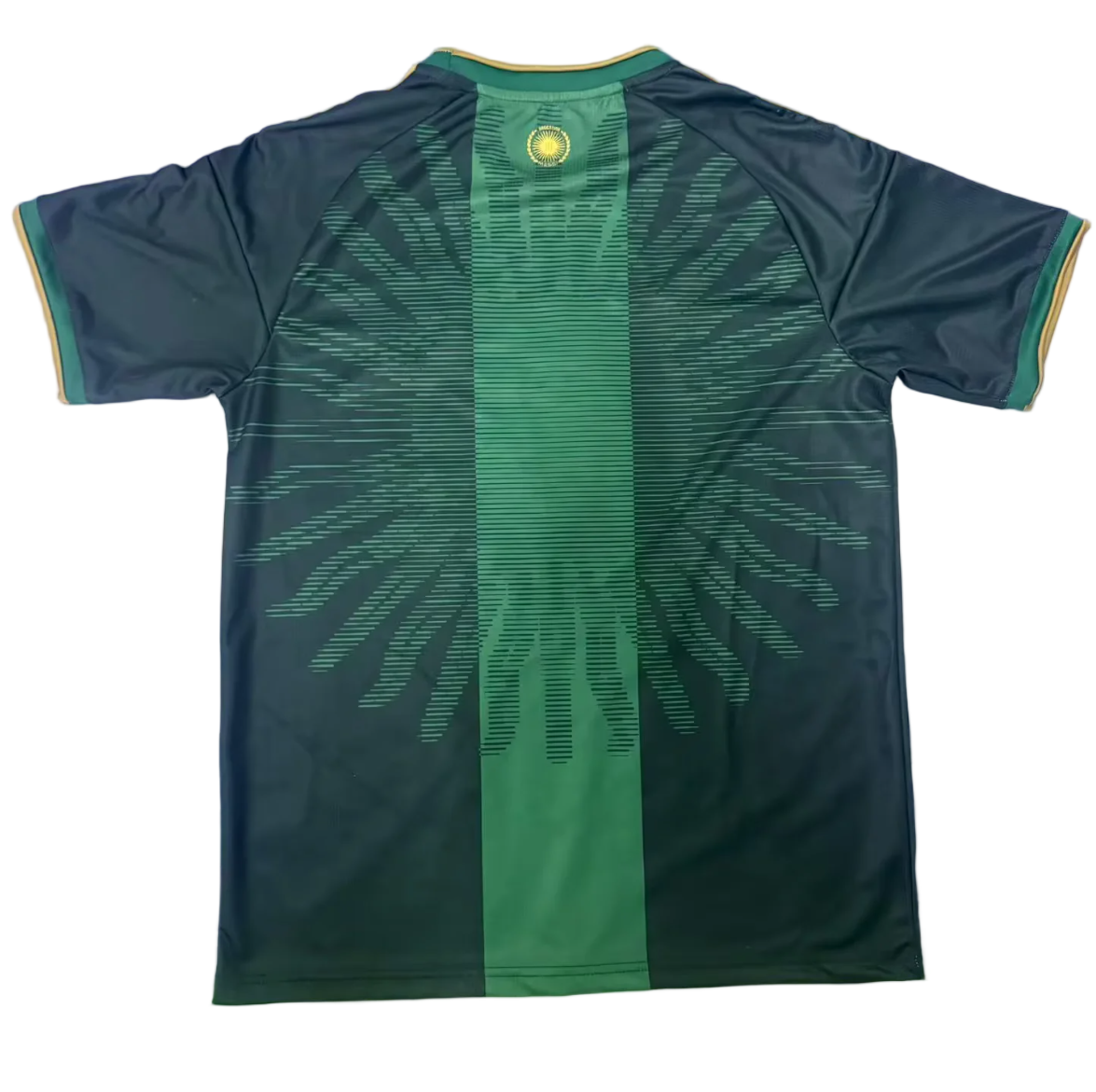 2026 Argentina home special commemoration green fan version size S-4XL