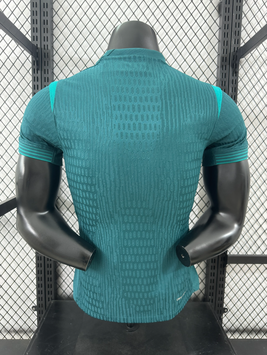 25/26 Nigeria away player version S-XXL