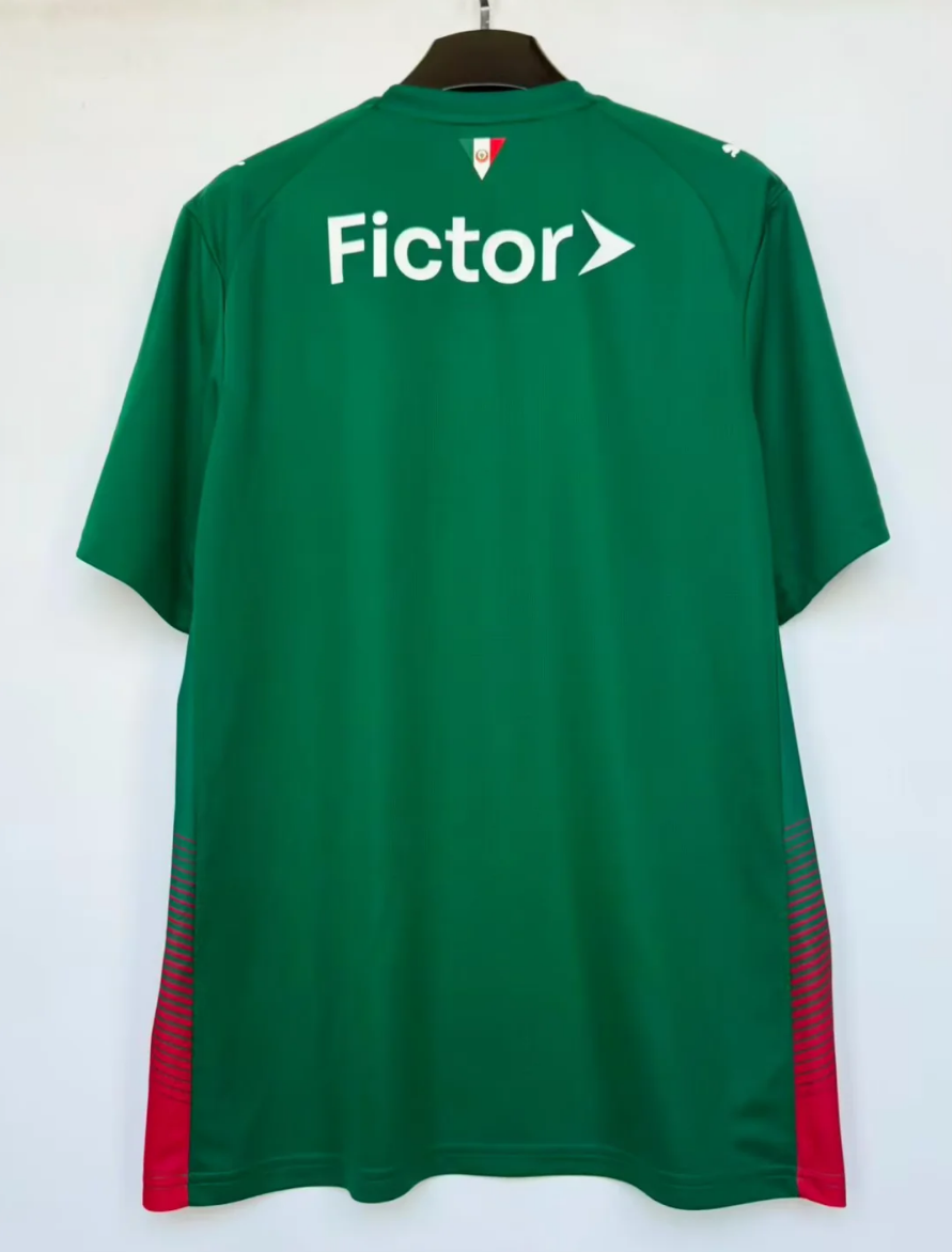 26/27 Palmeiras Home fan version Jersey S-4XL