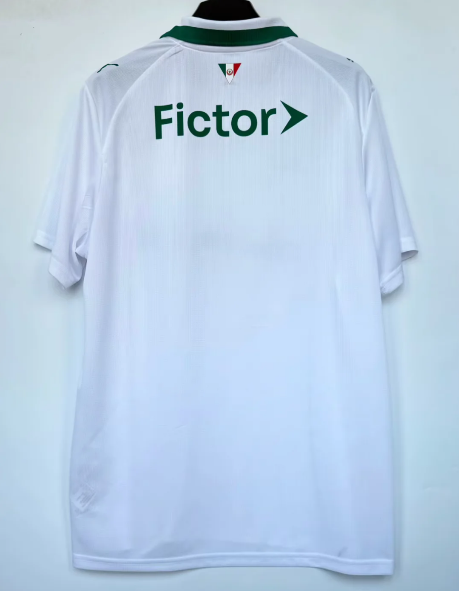 26/27 Palmeiras away fan version Jersey S-4XL