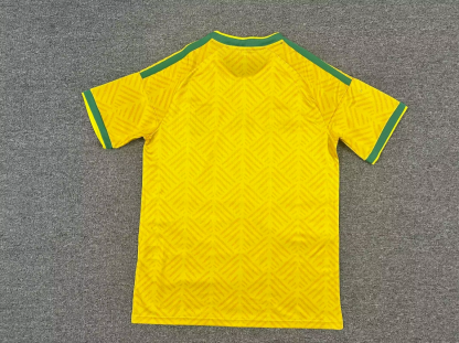 2026 South Africa home fan version S-4XL