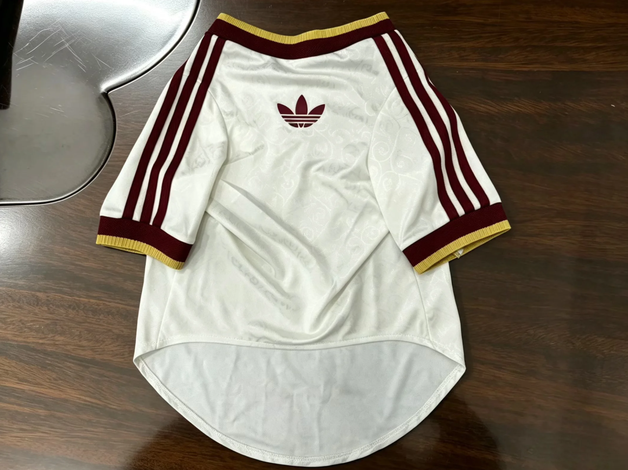 2026 Spain away pet dog player version S-XXL