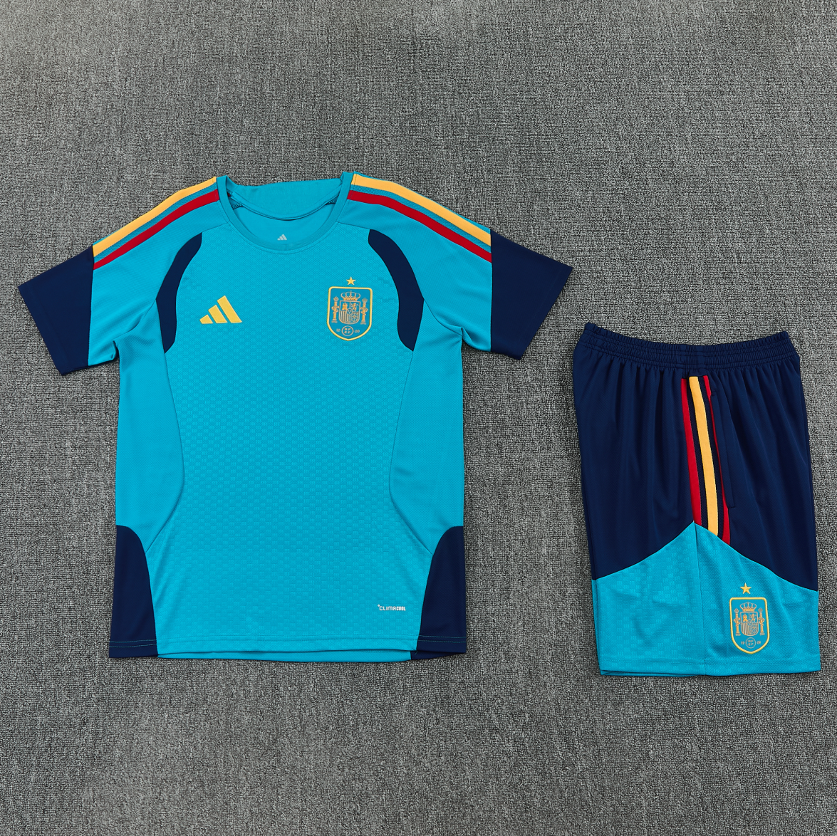 2026 Spain blue training suit S-XXL