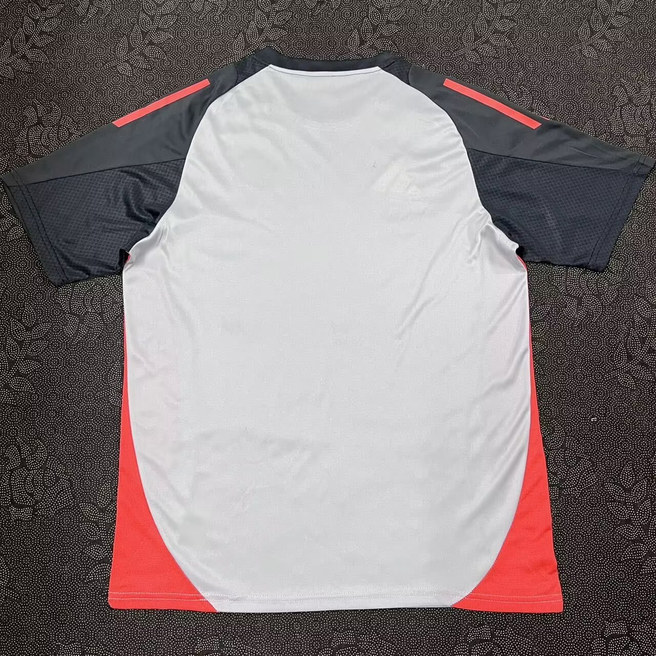 24/25 Benfica training fan version S-XXL