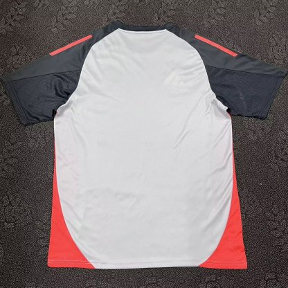 24/25 Benfica training fan version S-XXL