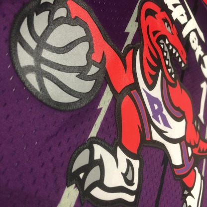 98/99 Toronto Raptors Hot-pressure retro version S-XXL